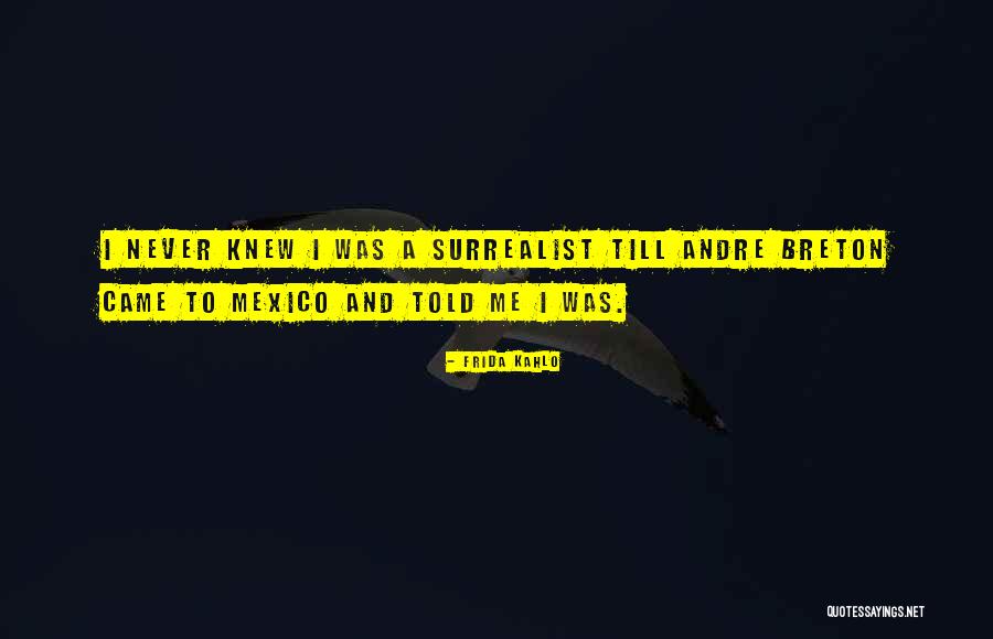 Schintzius Mullet Quotes By Frida Kahlo Schintzius Mullet Quotes By Frida Kahlo