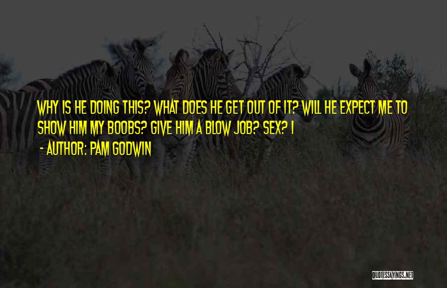 Schireson 12 Quotes By Pam Godwin