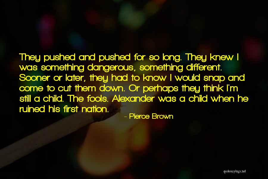 Schireson 12 Quotes By Pierce Brown Schireson 12 Quotes By Pierce Brown