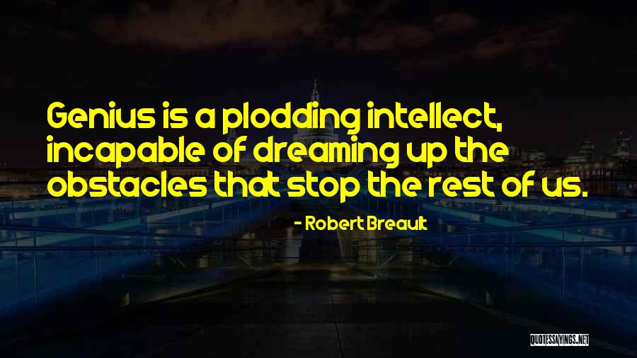 Schirmer Test Quotes By Robert Breault