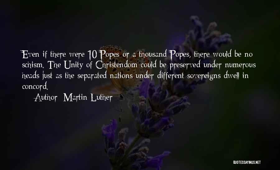 Schism Quotes By Martin Luther