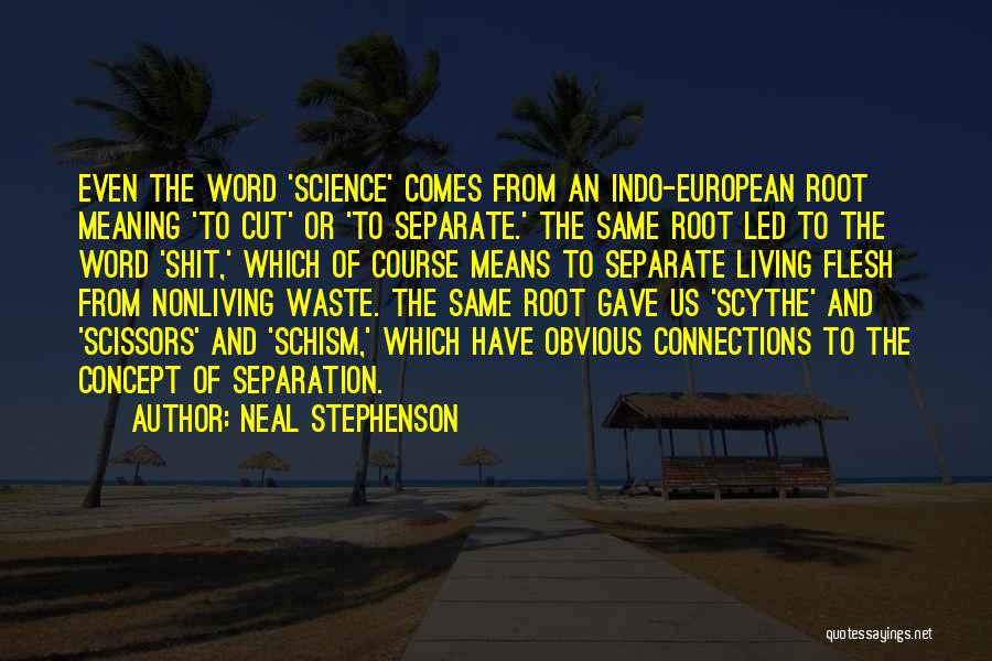 Schism Quotes By Neal Stephenson