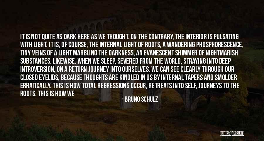 Schiuma Barba Quotes By Bruno Schulz Schiuma Barba Quotes By Bruno Schulz
