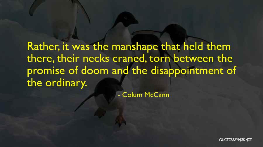 Schiwek Quotes By Colum McCann Schiwek Quotes By Colum McCann