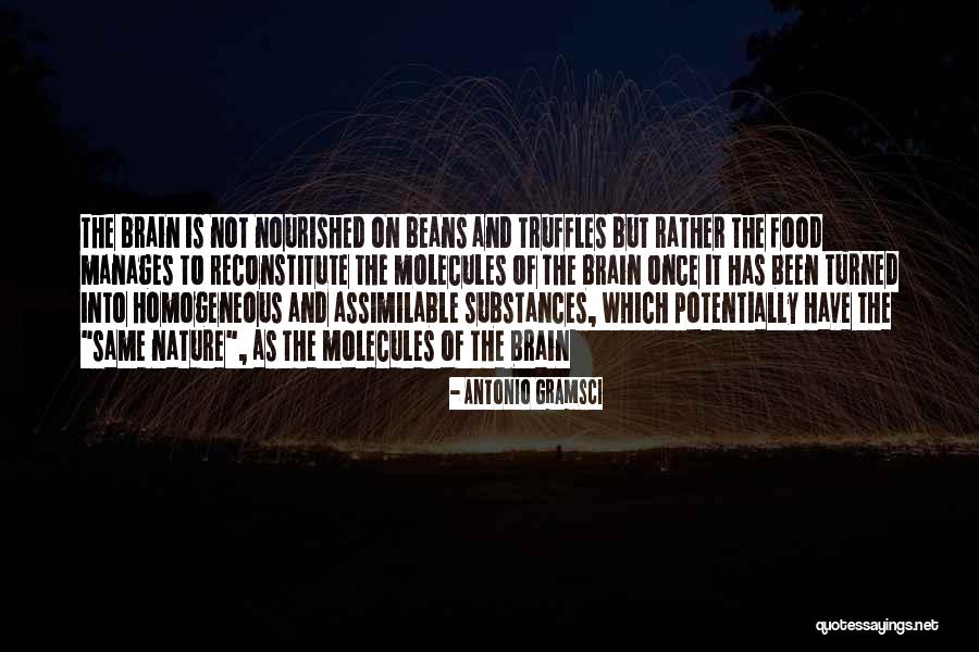 Schiwes Quotes By Antonio Gramsci Schiwes Quotes By Antonio Gramsci