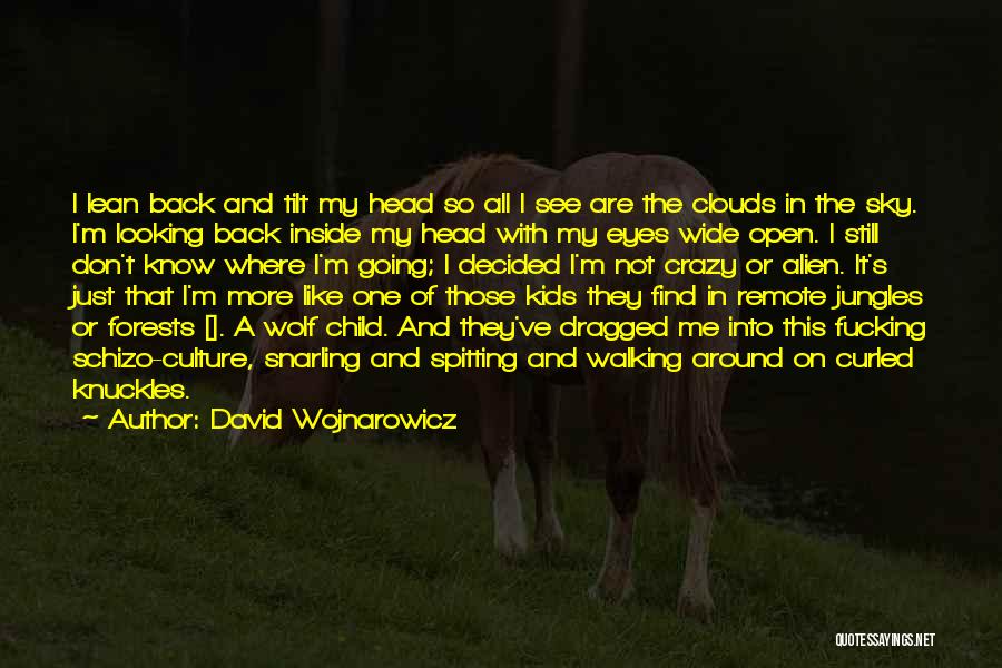 Schizo Quotes By David Wojnarowicz