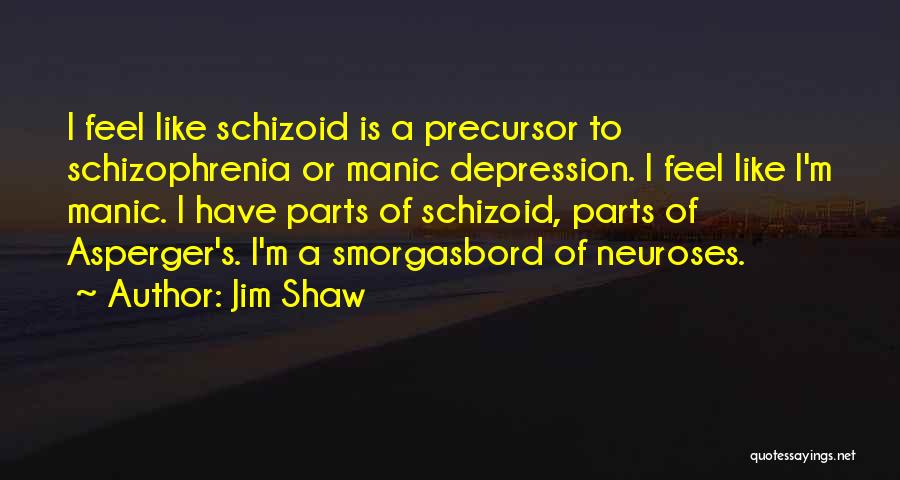 Schizoid Quotes By Jim Shaw