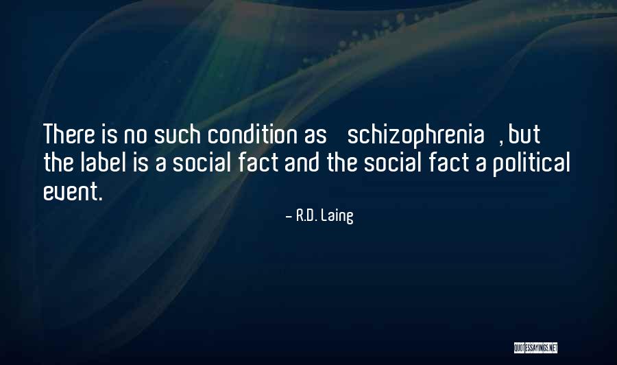 Schizophrenia Quotes By R.D. Laing