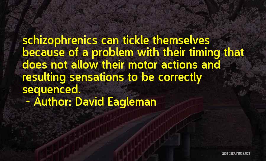 Schizophrenics Quotes By David Eagleman