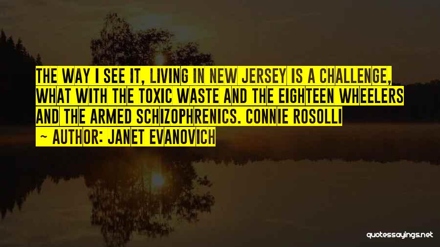 Schizophrenics Quotes By Janet Evanovich