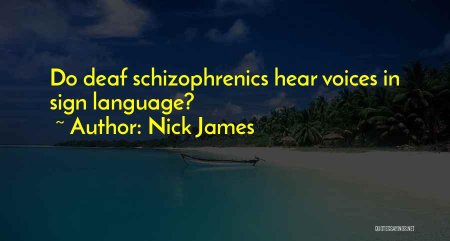 Schizophrenics Quotes By Nick James