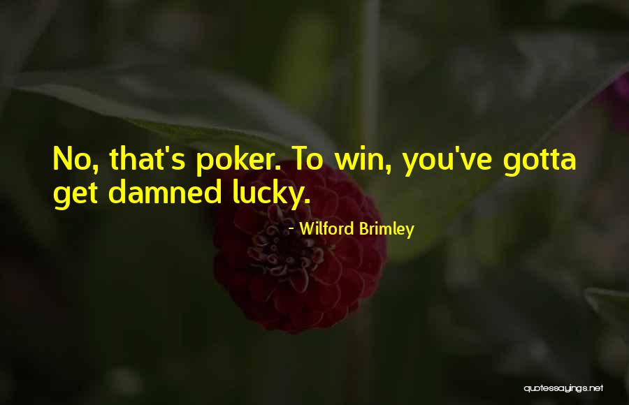 Schlafly Pumpkin Quotes By Wilford Brimley Schlafly Pumpkin Quotes By Wilford Brimley