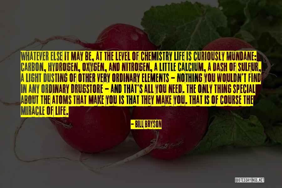 Schlagen Quotes By Bill Bryson Schlagen Quotes By Bill Bryson