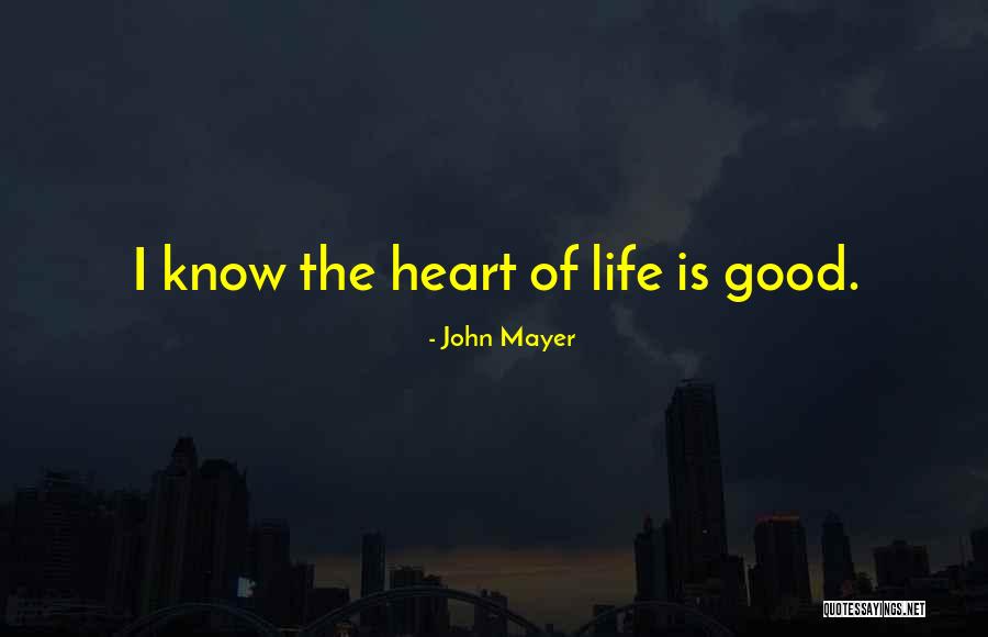 Schlaich Bergermann Quotes By John Mayer Schlaich Bergermann Quotes By John Mayer