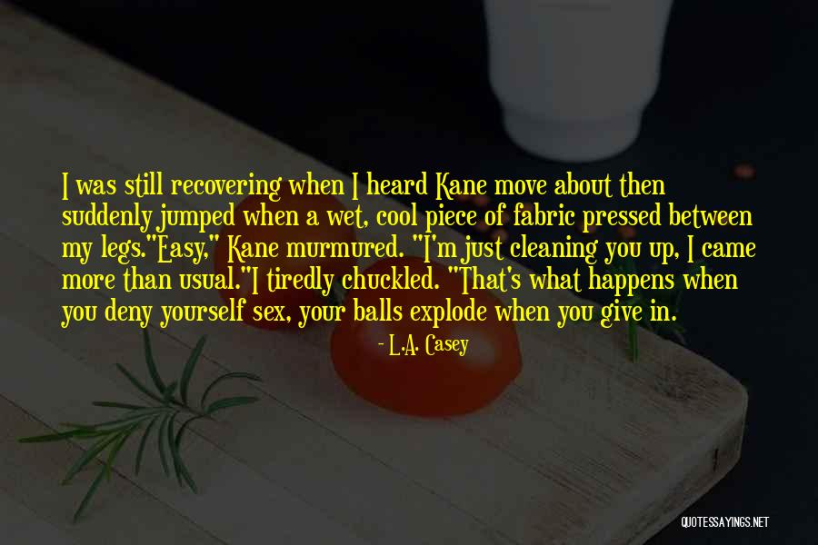 Schlanser Vase Quotes By L.A. Casey Schlanser Vase Quotes By L.A. Casey