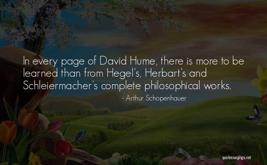 Schleiermacher Quotes By Arthur Schopenhauer