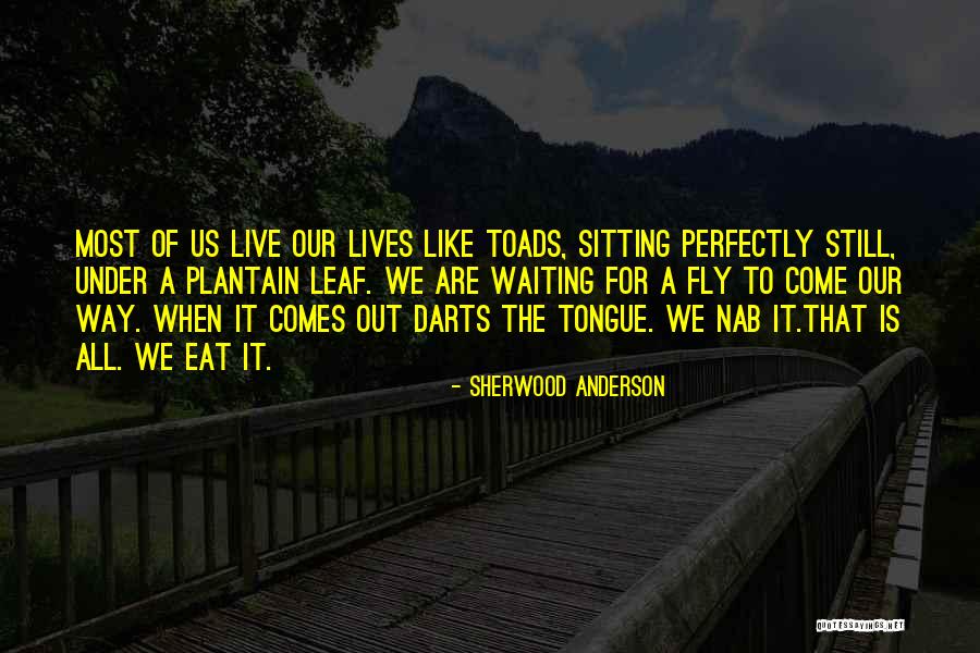 Schleiger 52 Quotes By Sherwood Anderson Schleiger 52 Quotes By Sherwood Anderson