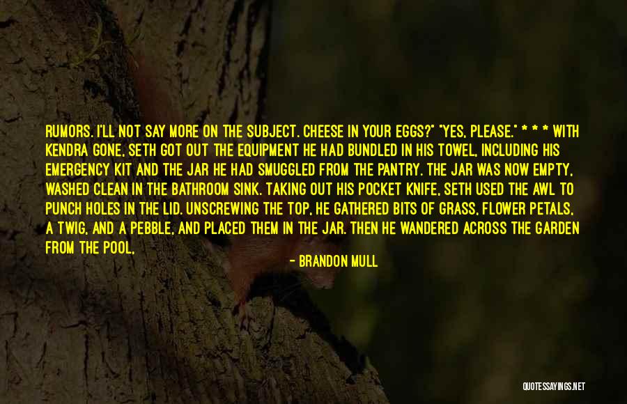 Schleisman Chiropractic Quotes By Brandon Mull Schleisman Chiropractic Quotes By Brandon Mull