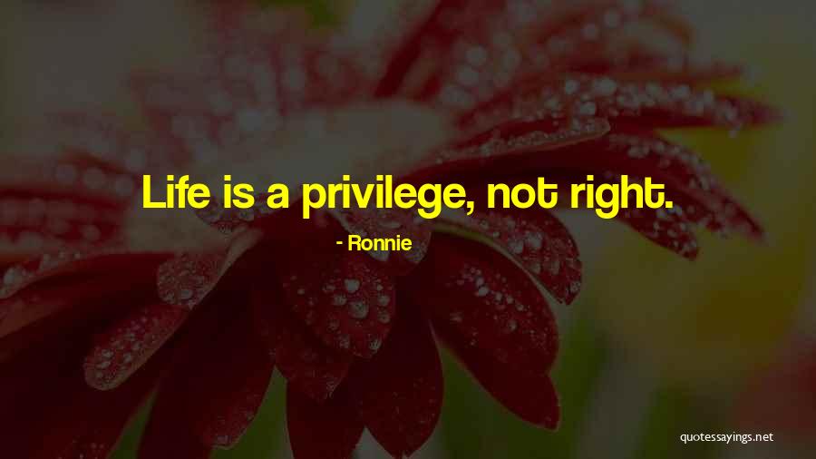 Schleisman Road Quotes By Ronnie Schleisman Road Quotes By Ronnie