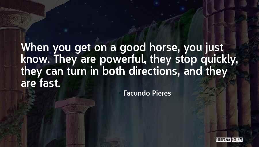 Schleske Violin Quotes By Facundo Pieres Schleske Violin Quotes By Facundo Pieres