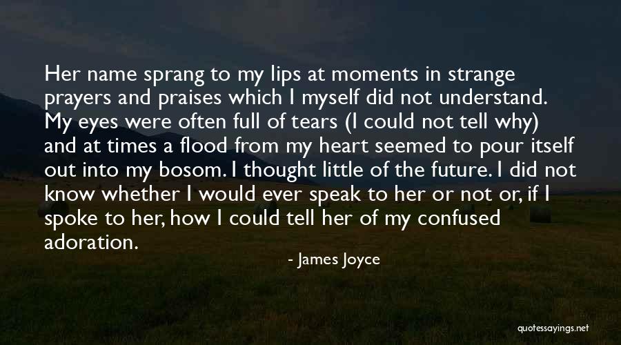 Schleske Violin Quotes By James Joyce Schleske Violin Quotes By James Joyce