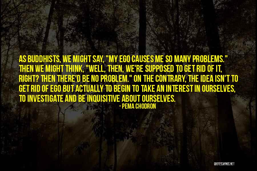 Schleswig Quotes By Pema Chodron Schleswig Quotes By Pema Chodron