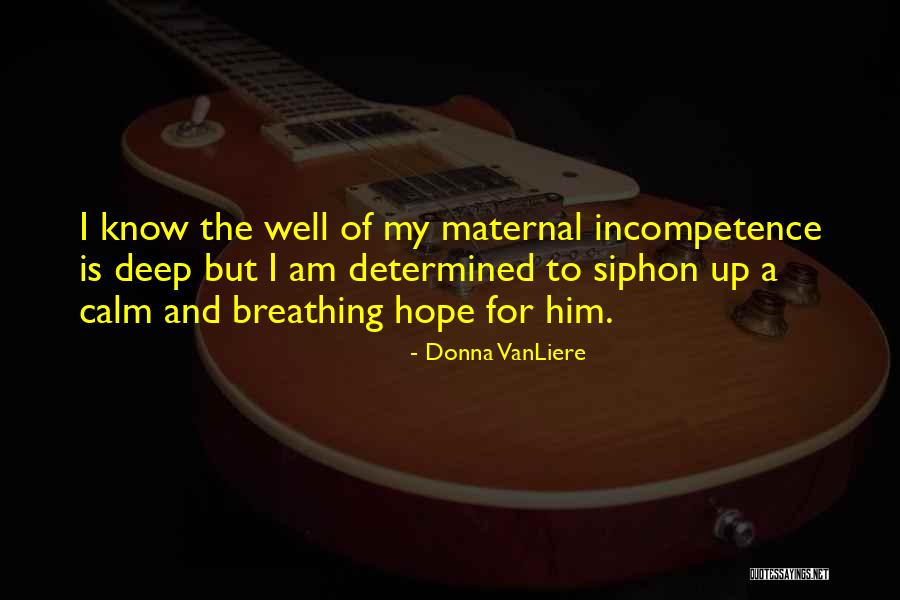Schlientz Quotes By Donna VanLiere Schlientz Quotes By Donna VanLiere
