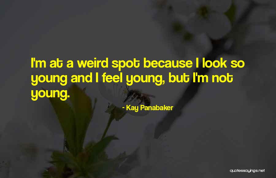 Schloegl Family Murdered Quotes By Kay Panabaker Schloegl Family Murdered Quotes By Kay Panabaker
