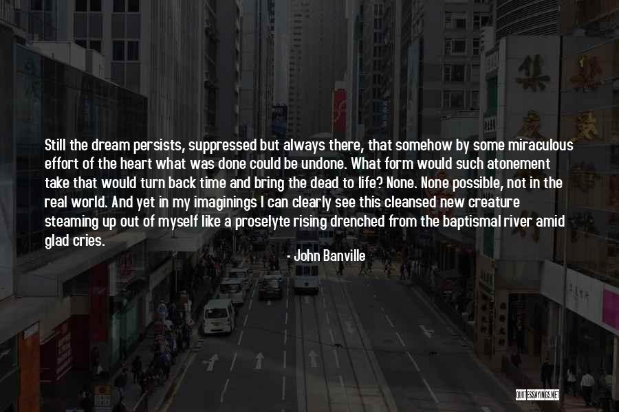 Schlucktherapie Quotes By John Banville Schlucktherapie Quotes By John Banville