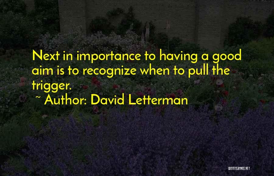 Schlug En Quotes By David Letterman