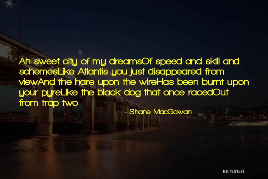 Schlusselburg Quotes By Shane MacGowan Schlusselburg Quotes By Shane MacGowan