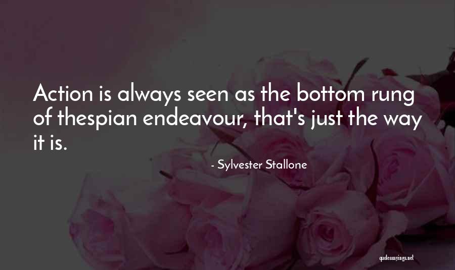 Schm Hling Catering Quotes By Sylvester Stallone Schm Hling Catering Quotes By Sylvester Stallone