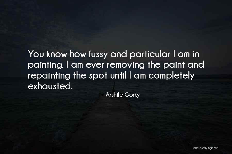 Schmidgall Springfield Quotes By Arshile Gorky Schmidgall Springfield Quotes By Arshile Gorky