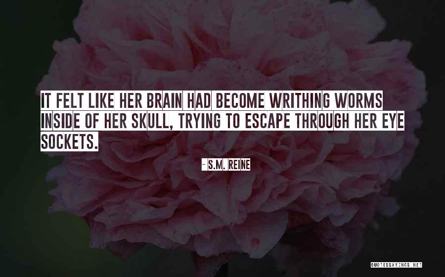 Schmieden Englisch Quotes By S.M. Reine Schmieden Englisch Quotes By S.M. Reine