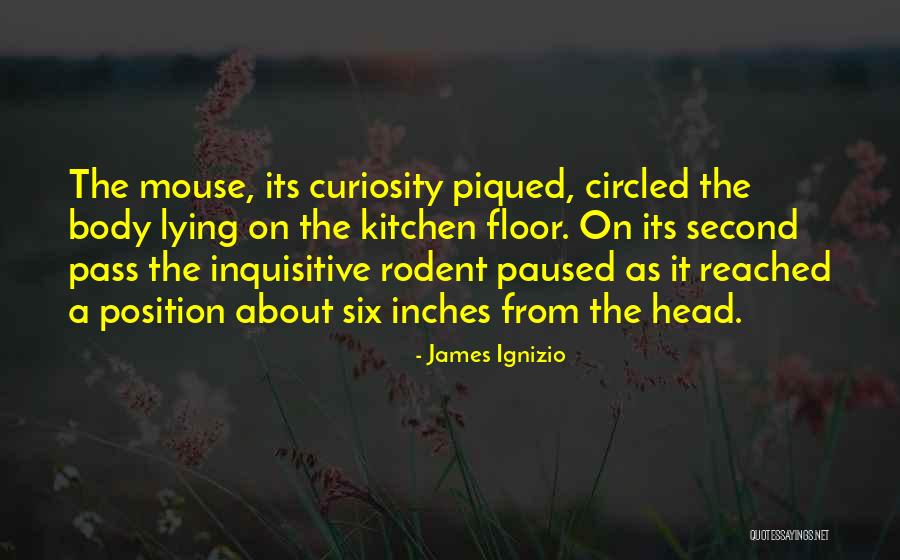 Schmieder Quotes By James Ignizio Schmieder Quotes By James Ignizio