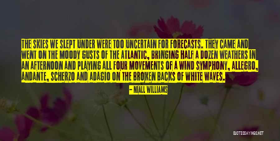 Schminke Club Quotes By Niall Williams Schminke Club Quotes By Niall Williams