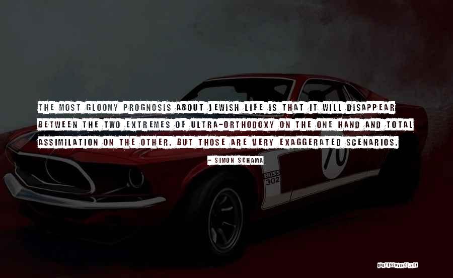 Schmolke Handlebars Quotes By Simon Schama Schmolke Handlebars Quotes By Simon Schama