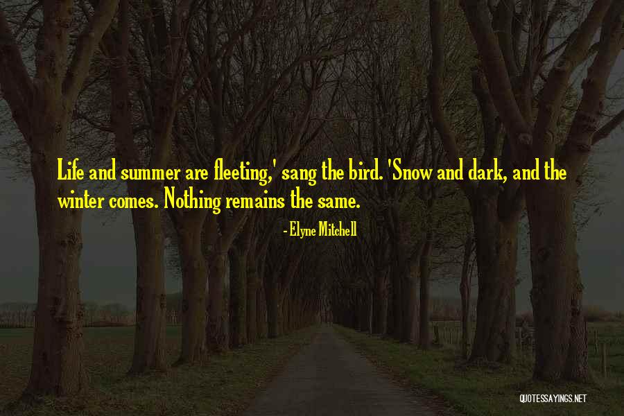 Schmucker Middle School Quotes By Elyne Mitchell Schmucker Middle School Quotes By Elyne Mitchell