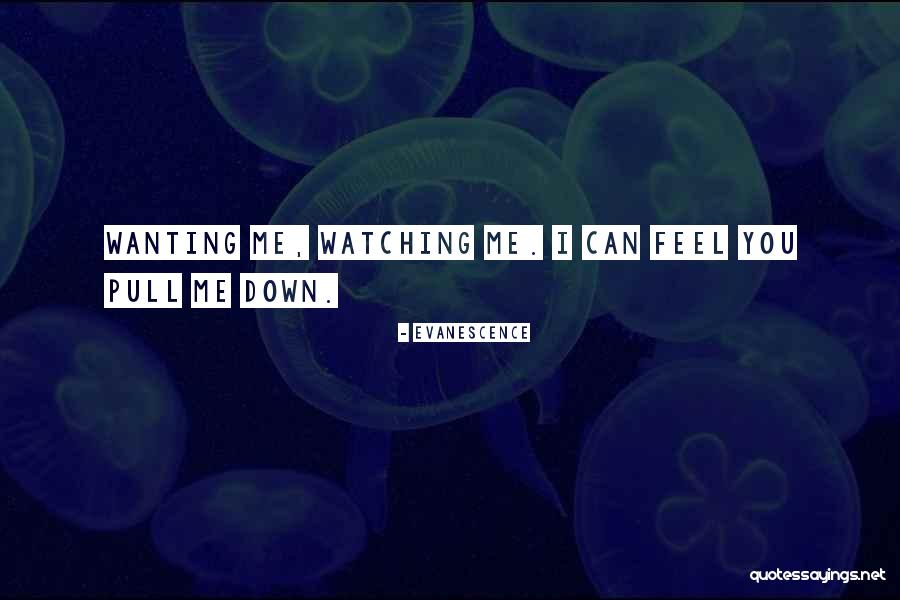Schmutter Quotes By Evanescence