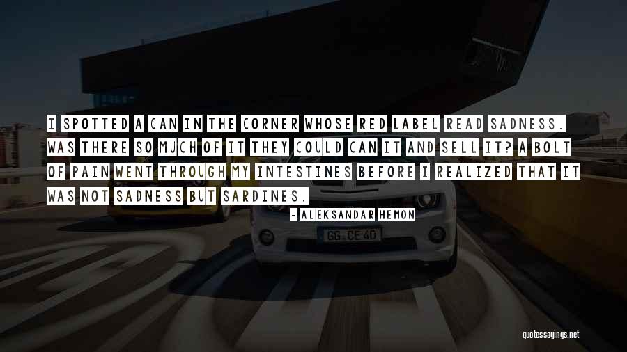 Schnarch 4 Quotes By Aleksandar Hemon Schnarch 4 Quotes By Aleksandar Hemon