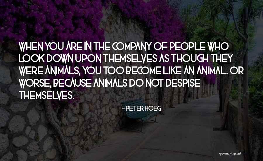 Schnauzers For Adoption Quotes By Peter Hoeg Schnauzers For Adoption Quotes By Peter Hoeg