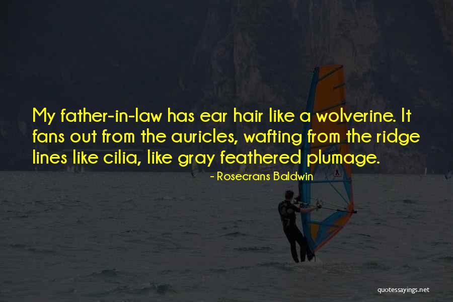 Schneekloth Lauren Quotes By Rosecrans Baldwin Schneekloth Lauren Quotes By Rosecrans Baldwin