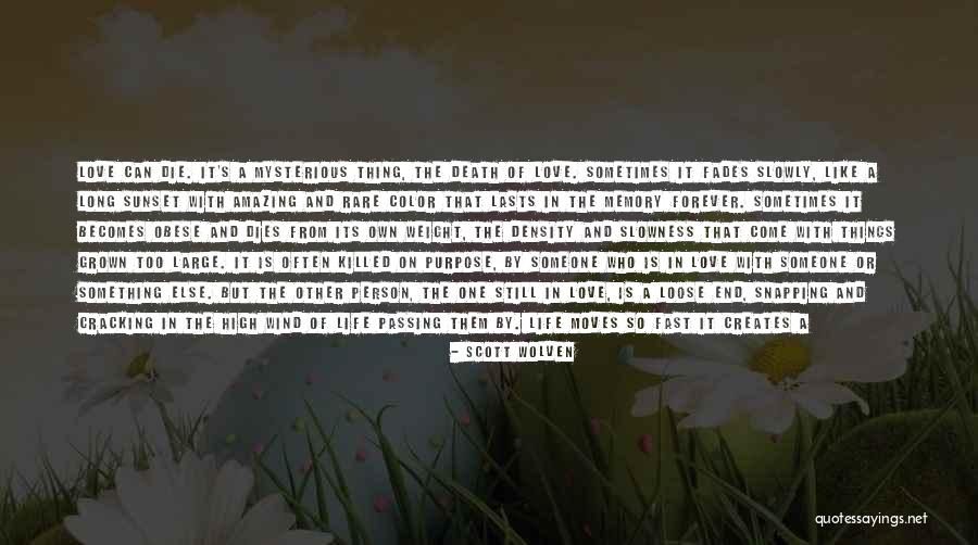 Schneggenburger Quotes By Scott Wolven Schneggenburger Quotes By Scott Wolven