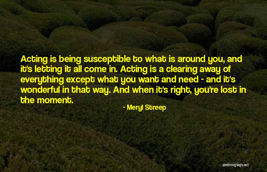 Schnepps Quotes By Meryl Streep Schnepps Quotes By Meryl Streep