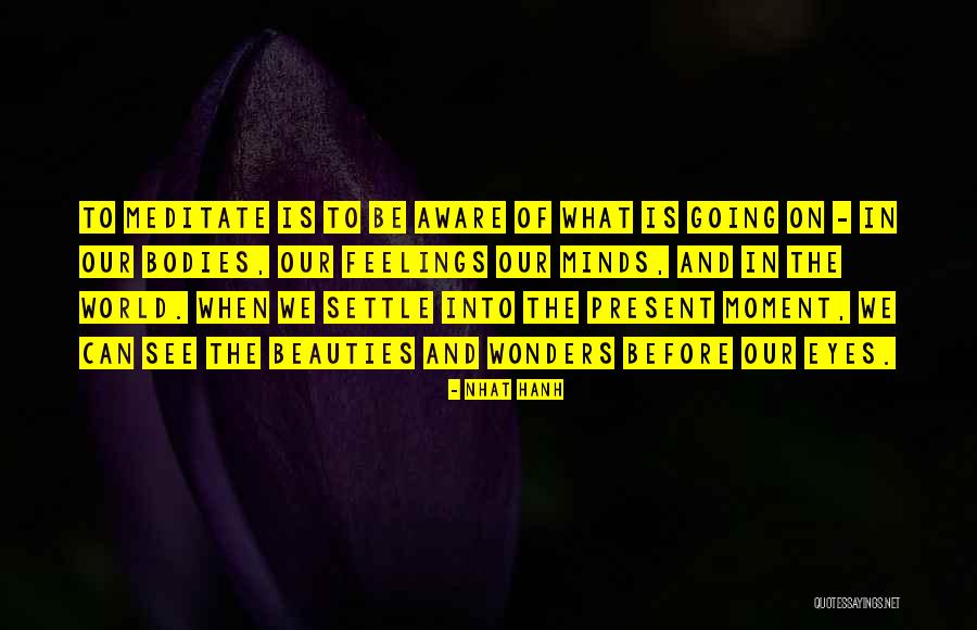 Schnese Quotes By Nhat Hanh Schnese Quotes By Nhat Hanh