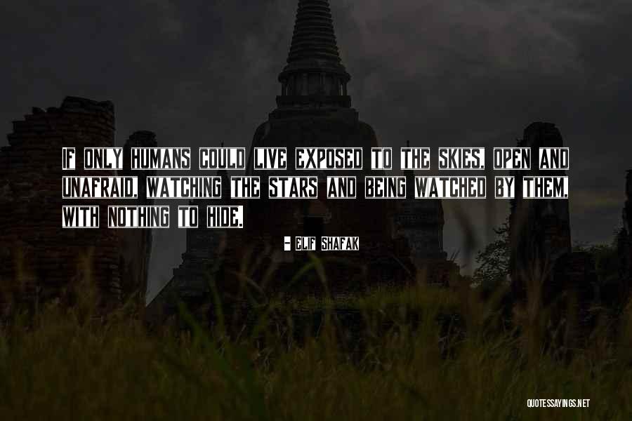 Schnibbeln Quotes By Elif Shafak Schnibbeln Quotes By Elif Shafak