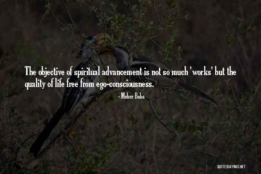 Schnittger Bourne Quotes By Meher Baba Schnittger Bourne Quotes By Meher Baba