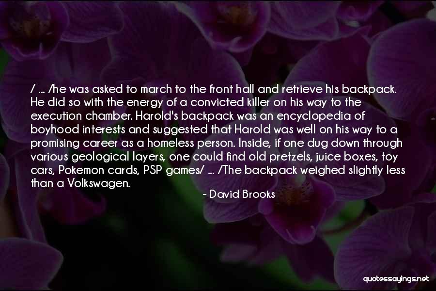 Schnittker Six Quotes By David Brooks Schnittker Six Quotes By David Brooks