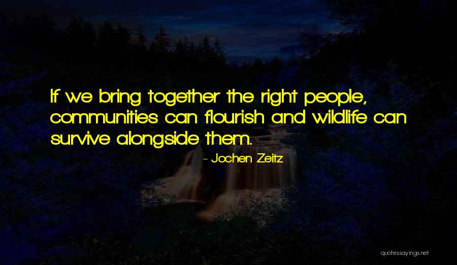 Schnitzel With Noodles Quotes By Jochen Zeitz Schnitzel With Noodles Quotes By Jochen Zeitz