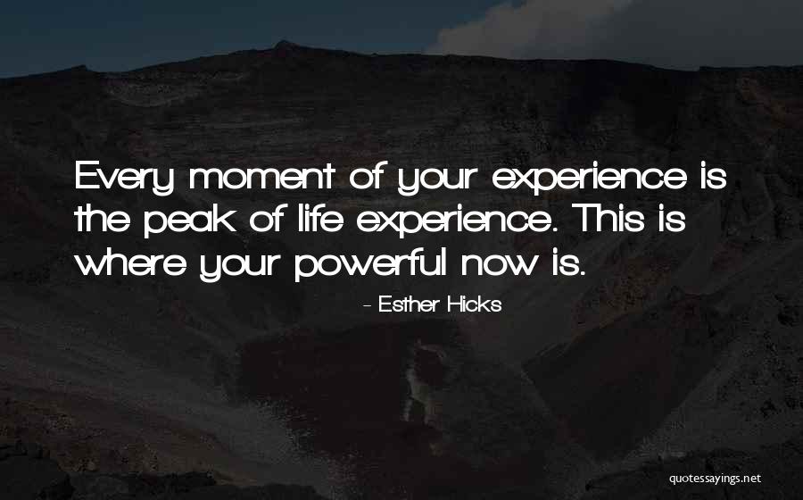 Schnoebelen Tractor Quotes By Esther Hicks Schnoebelen Tractor Quotes By Esther Hicks